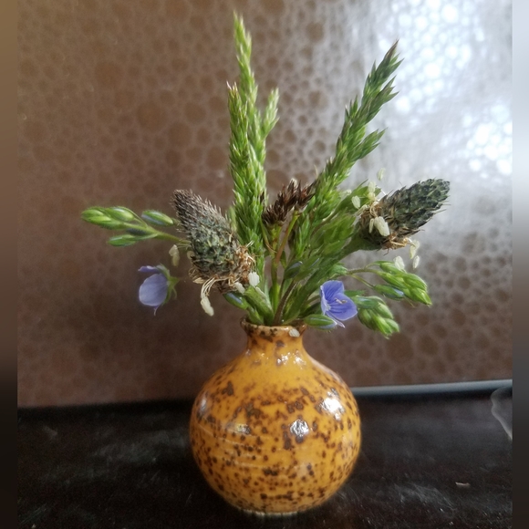 Meet the Posher Other - Meet your Posher, Katie